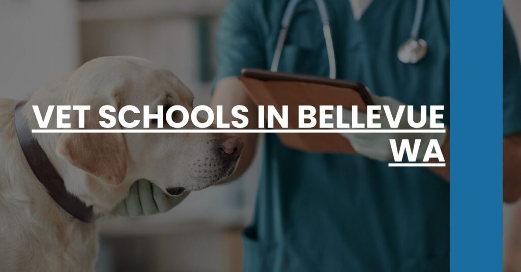 Vet Schools in Bellevue WA Feature Image