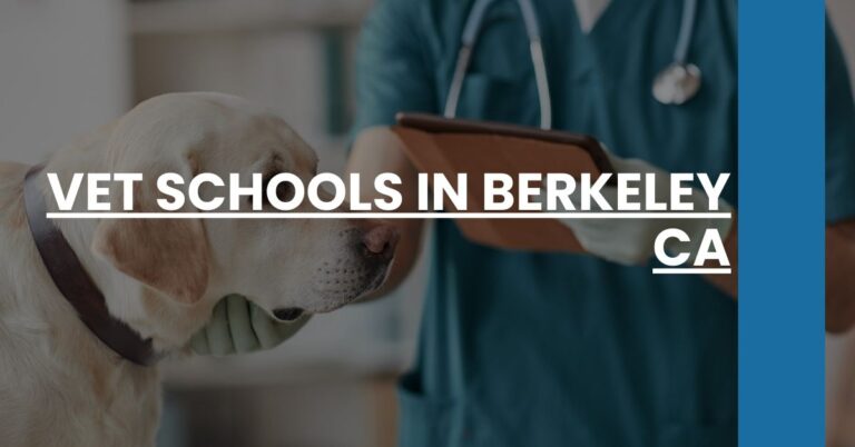 Vet Schools in Berkeley CA Feature Image