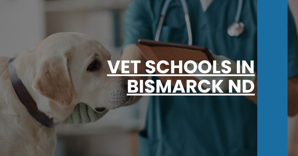 Vet Schools in Bismarck ND Feature Image