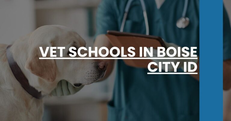 Vet Schools in Boise City ID Feature Image