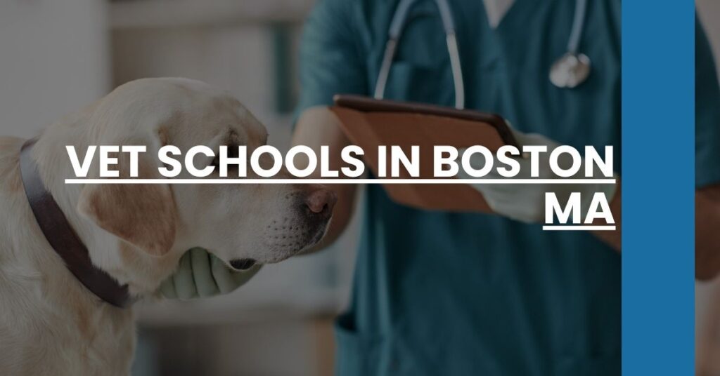 Vet Schools in Boston MA Feature Image