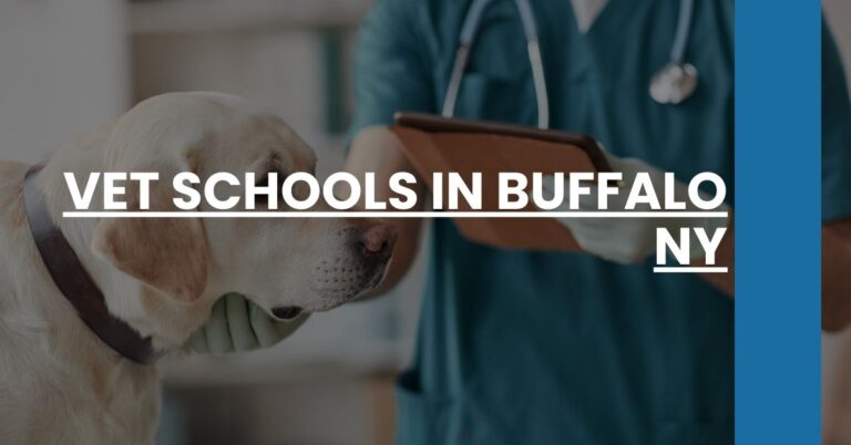 Vet Schools in Buffalo NY Feature Image