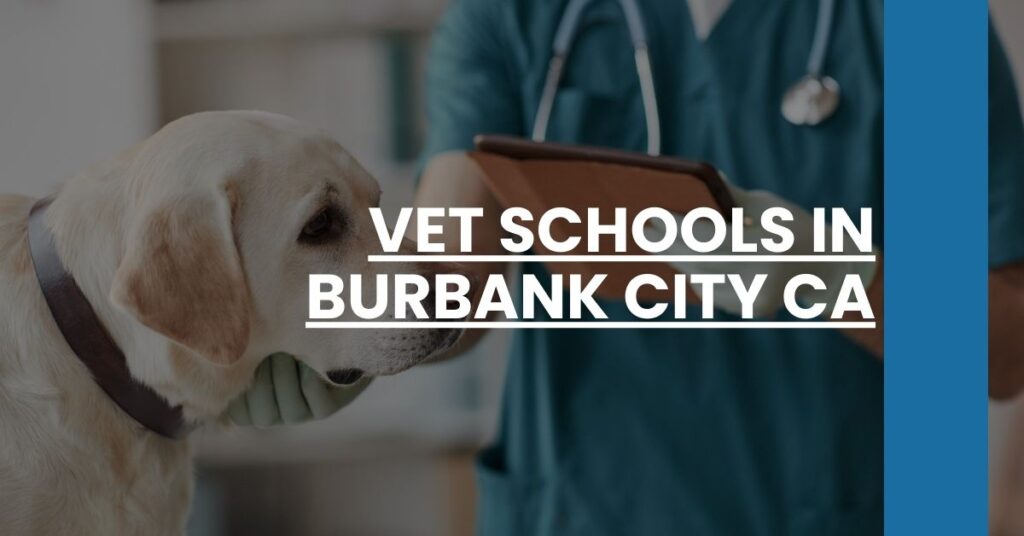 Vet Schools in Burbank city CA Feature Image