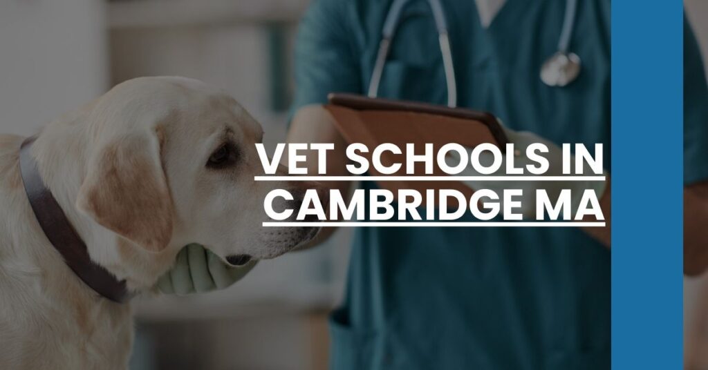 Vet Schools in Cambridge MA Feature Image