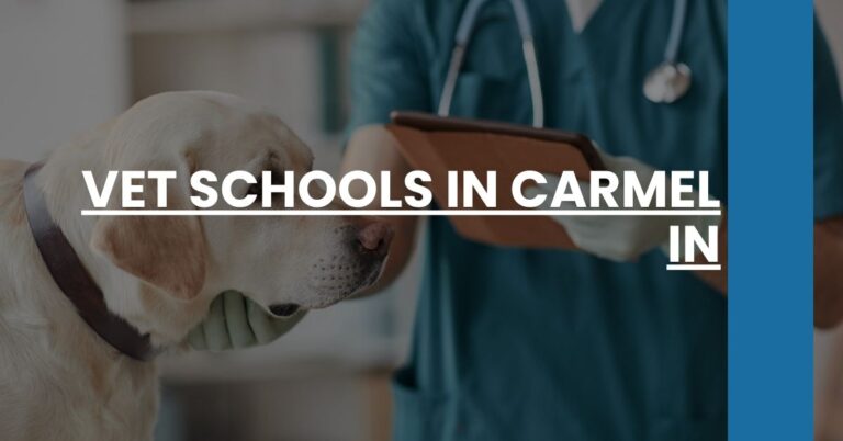 Vet Schools in Carmel IN Feature Image