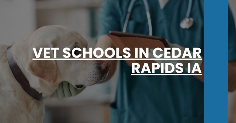 Vet Schools in Cedar Rapids IA Feature Image