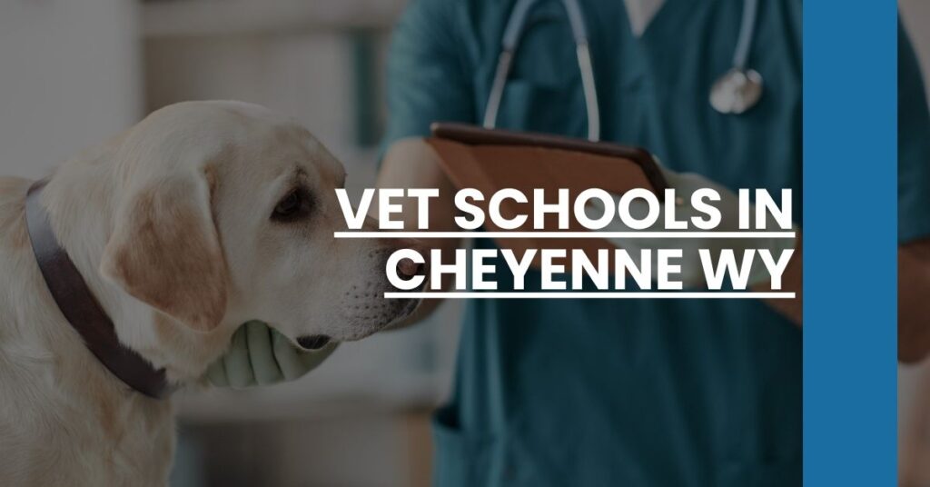 Vet Schools in Cheyenne WY Feature Image