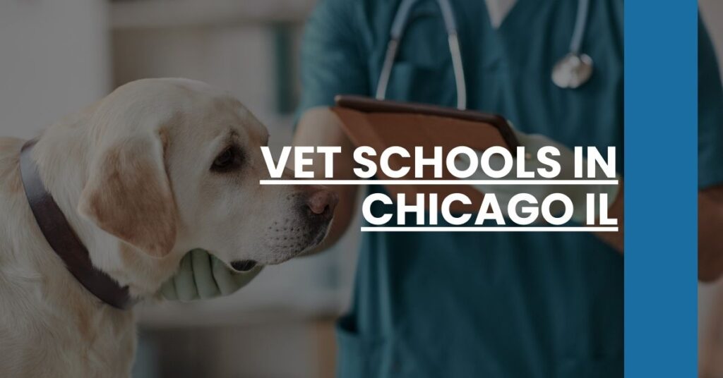 Vet Schools in Chicago IL Feature Image