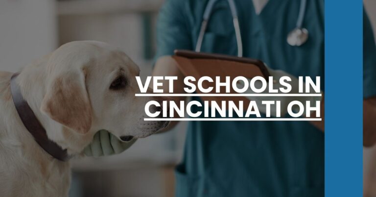 Vet Schools in Cincinnati OH Feature Image