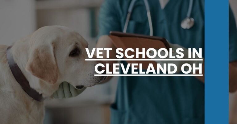 Vet Schools in Cleveland OH Feature Image