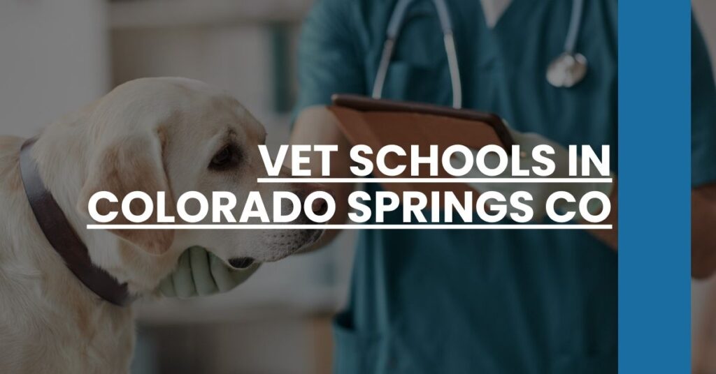 Vet Schools in Colorado Springs CO Feature Image