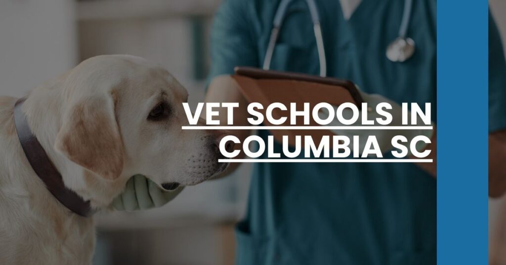 Vet Schools in Columbia SC Feature Image