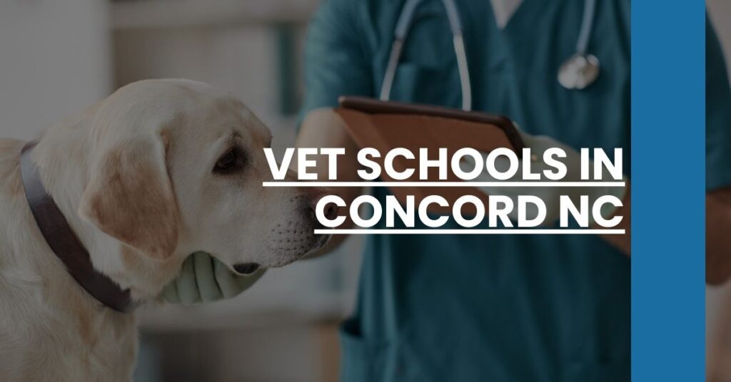 Vet Schools in Concord NC Feature Image