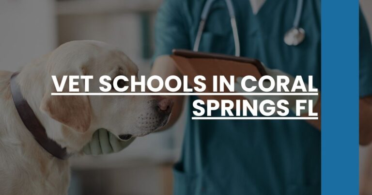 Vet Schools in Coral Springs FL Feature Image