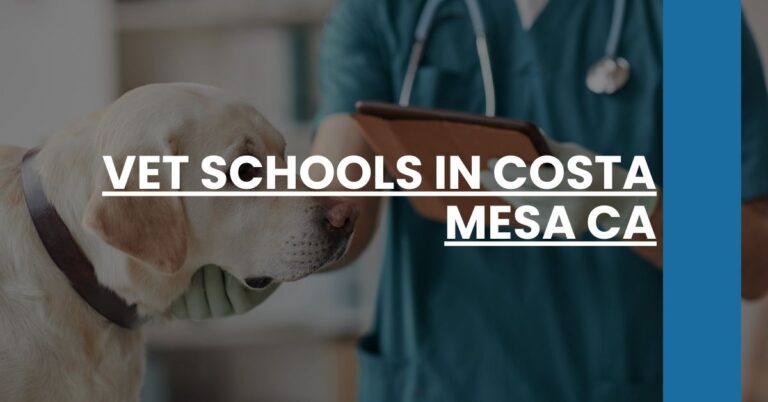 Vet Schools in Costa Mesa CA Feature Image