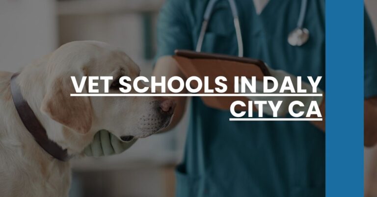 Vet Schools in Daly City CA Feature Image