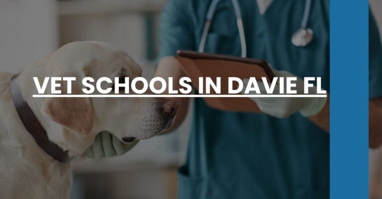 Vet Schools in Davie FL Feature Image