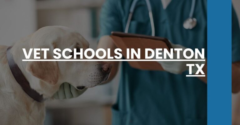 Vet Schools in Denton TX Feature Image