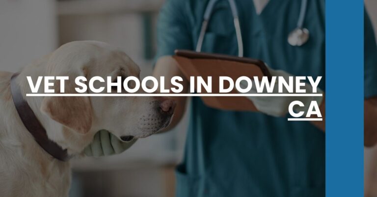 Vet Schools in Downey CA Feature Image