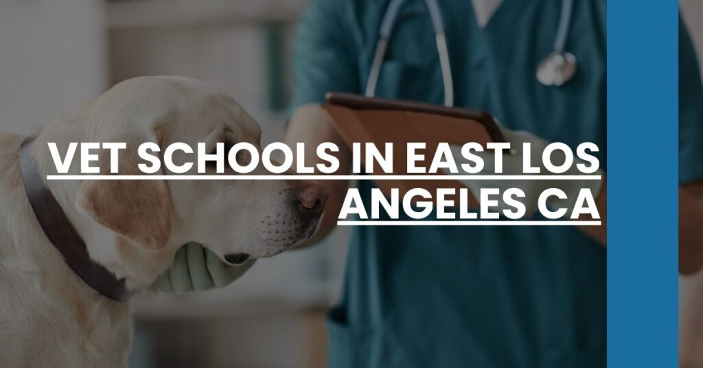 Vet Schools in East Los Angeles CA Feature Image