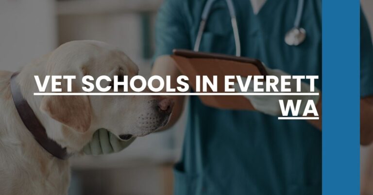 Vet Schools in Everett WA Feature Image