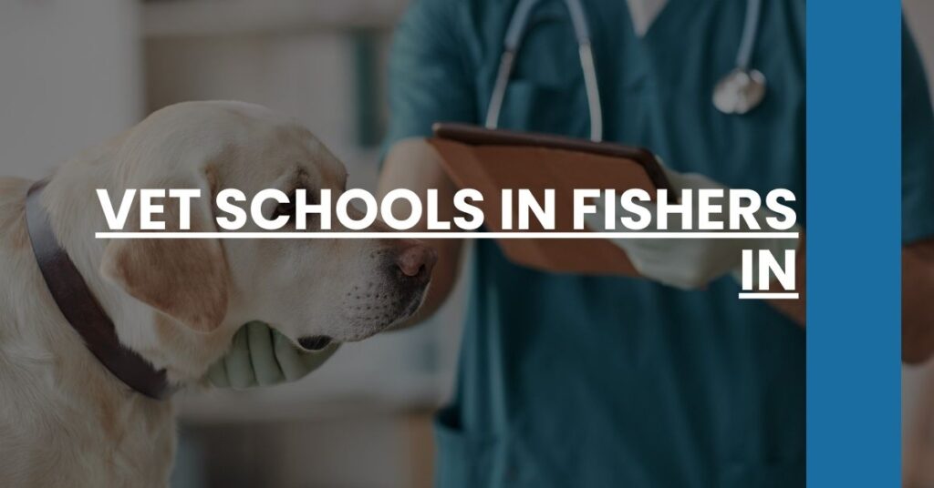 Vet Schools in Fishers IN Feature Image