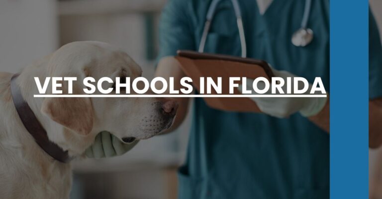 Vet Schools in Florida Feature Image