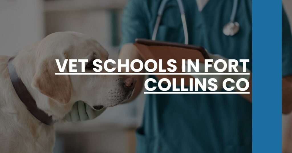 Vet Schools in Fort Collins CO Feature Image