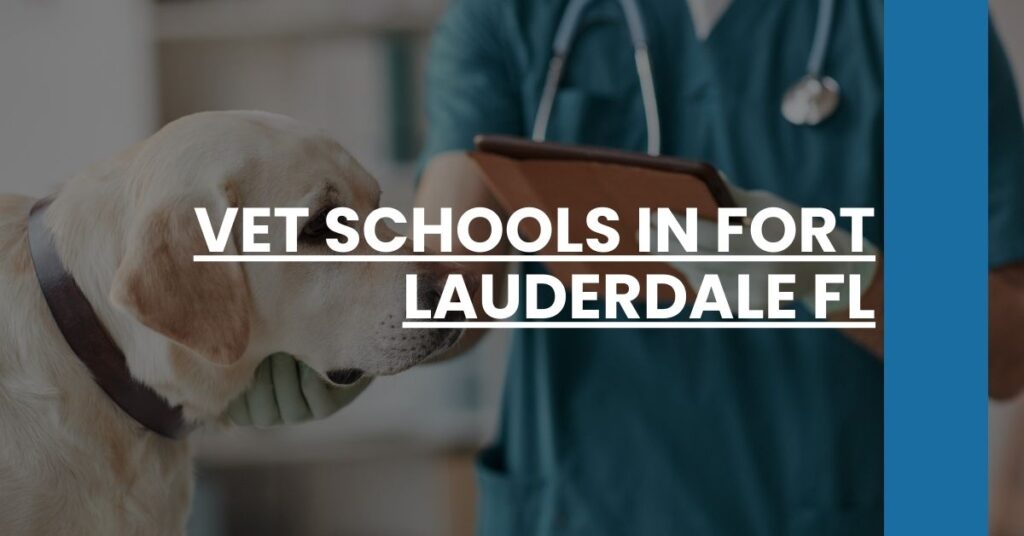 Vet Schools in Fort Lauderdale FL Feature Image