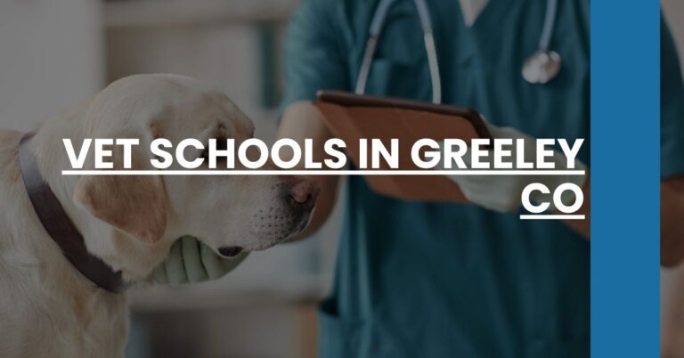 Vet Schools in Greeley CO Feature Image