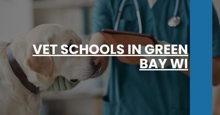 Vet Schools in Green Bay WI Feature Image