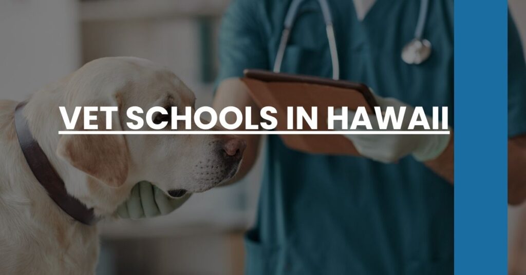 Vet Schools in Hawaii Feature Image