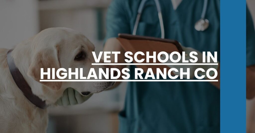 Vet Schools in Highlands Ranch CO Feature Image