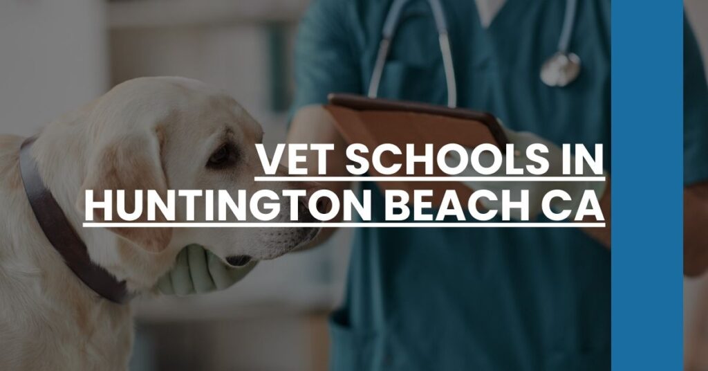 Vet Schools in Huntington Beach CA Feature Image