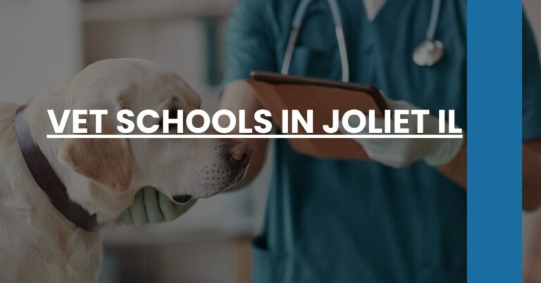 Vet Schools in Joliet IL Feature Image