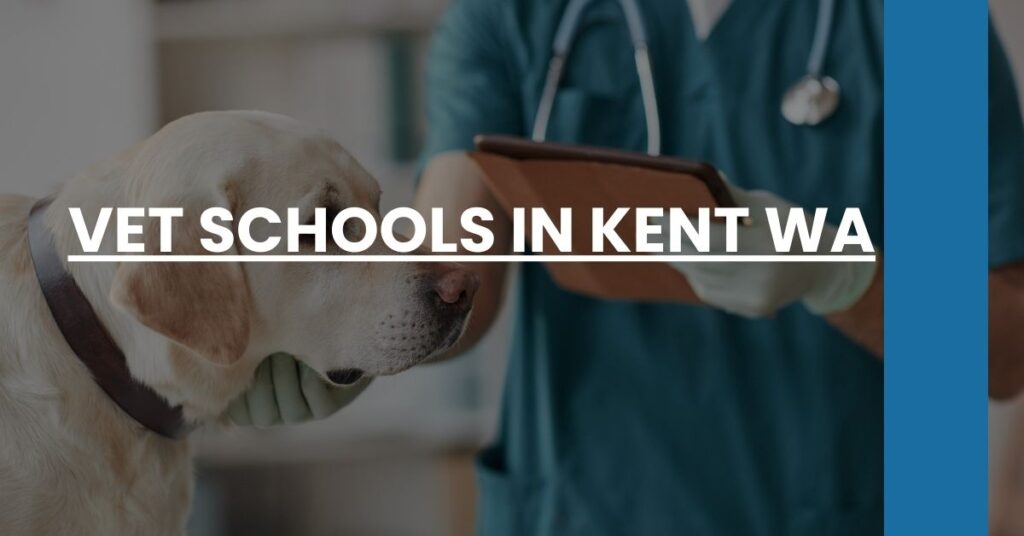 Vet Schools in Kent WA Feature Image