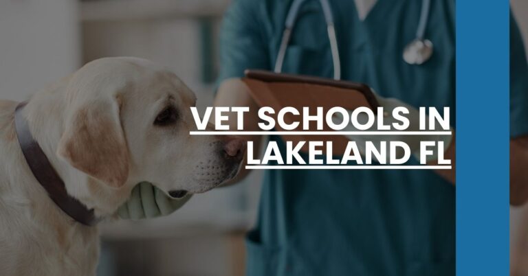 Vet Schools in Lakeland FL Feature Image