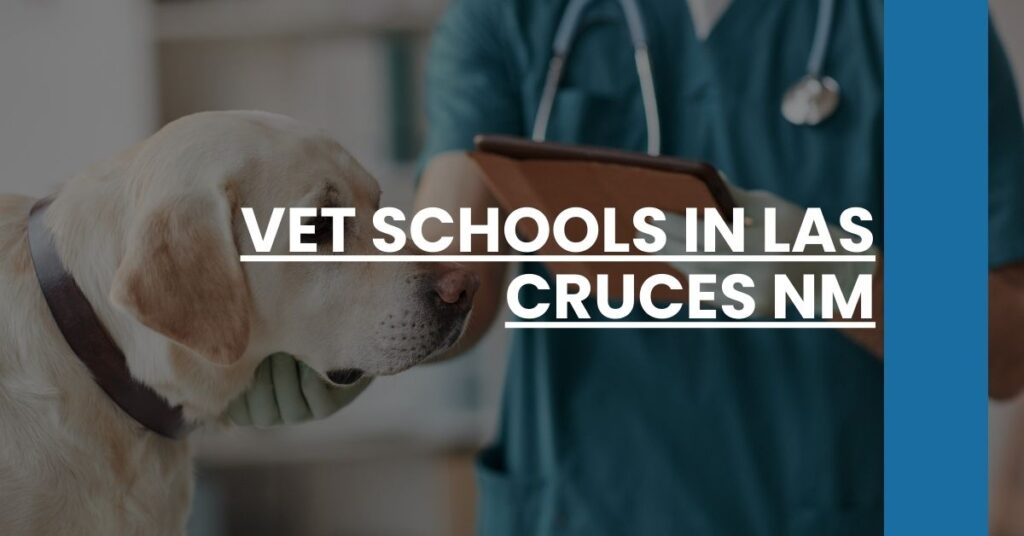 Vet Schools in Las Cruces NM Feature Image