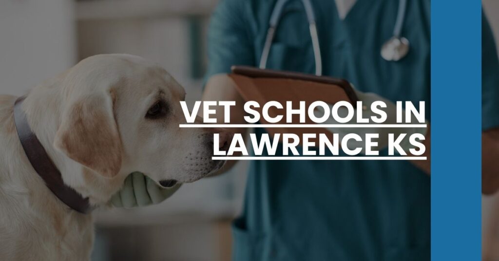 Vet Schools in Lawrence KS Feature Image