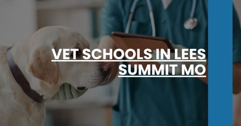 Vet Schools in Lees Summit MO Feature Image