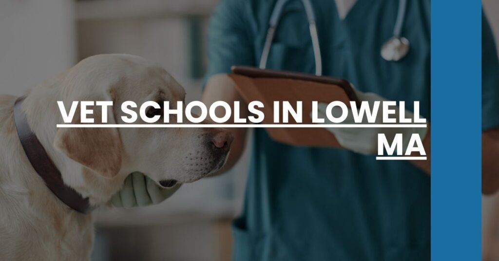 Vet Schools in Lowell MA Feature Image