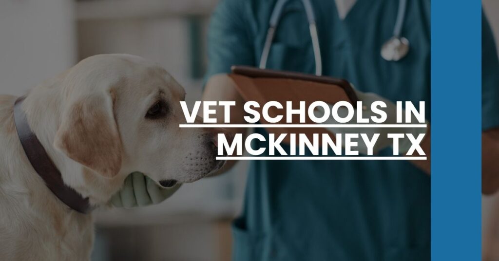 Vet Schools in McKinney TX Feature Image