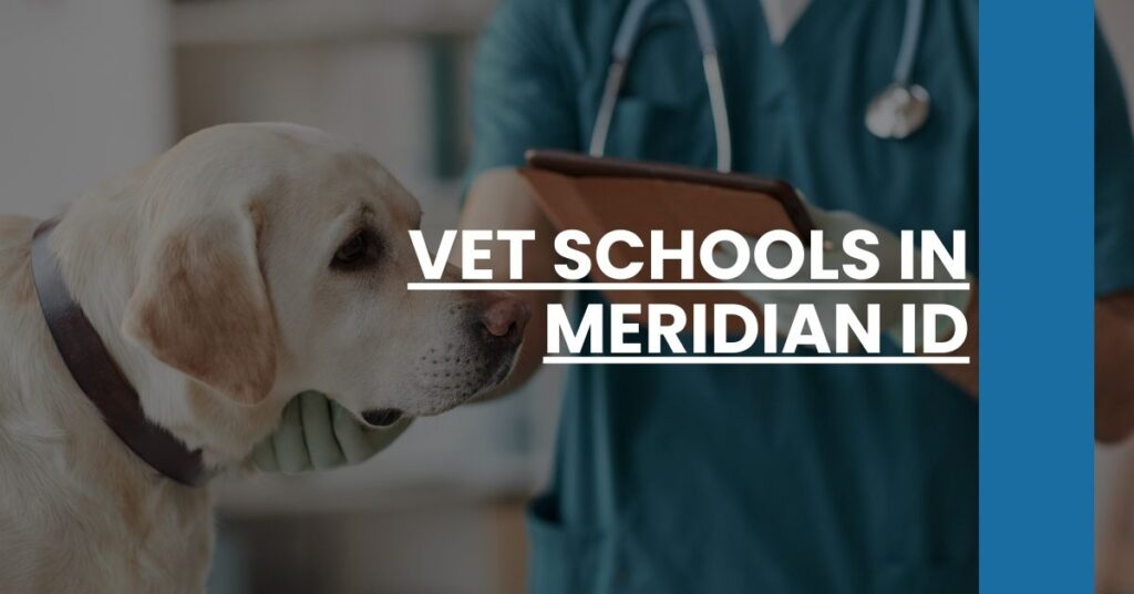 Vet Schools in Meridian ID Feature Image