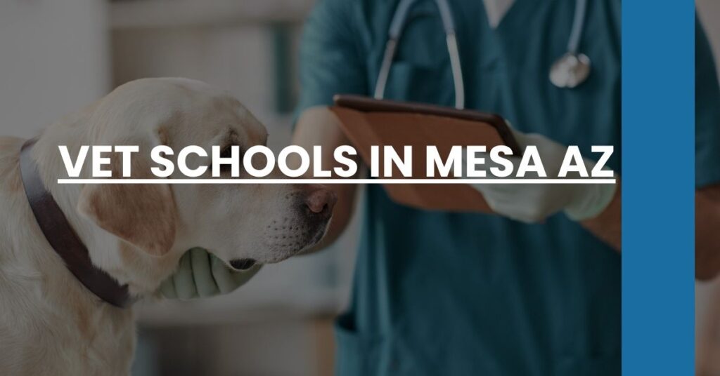 Vet Schools in Mesa AZ Feature Image