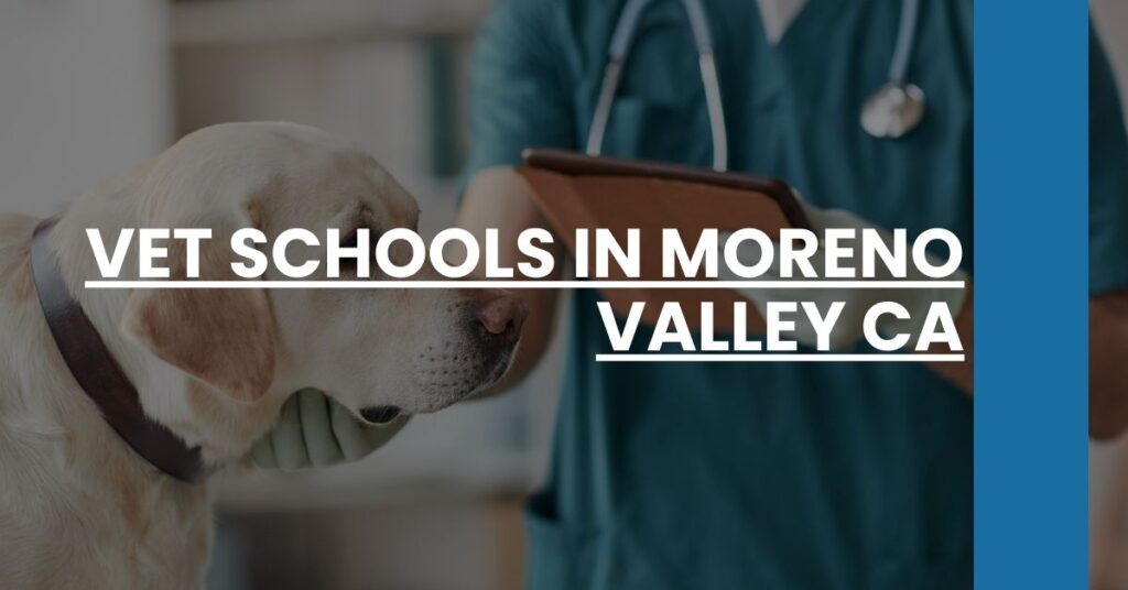 Vet Schools in Moreno Valley CA Feature Image