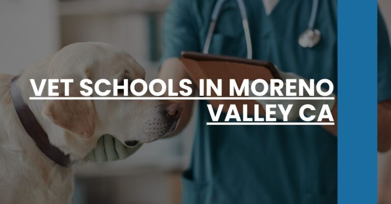 Vet Schools in Moreno Valley CA Feature Image