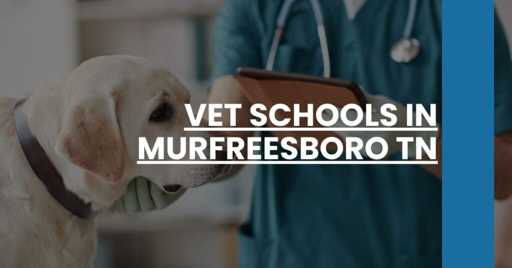 Vet Schools in Murfreesboro TN Feature Image