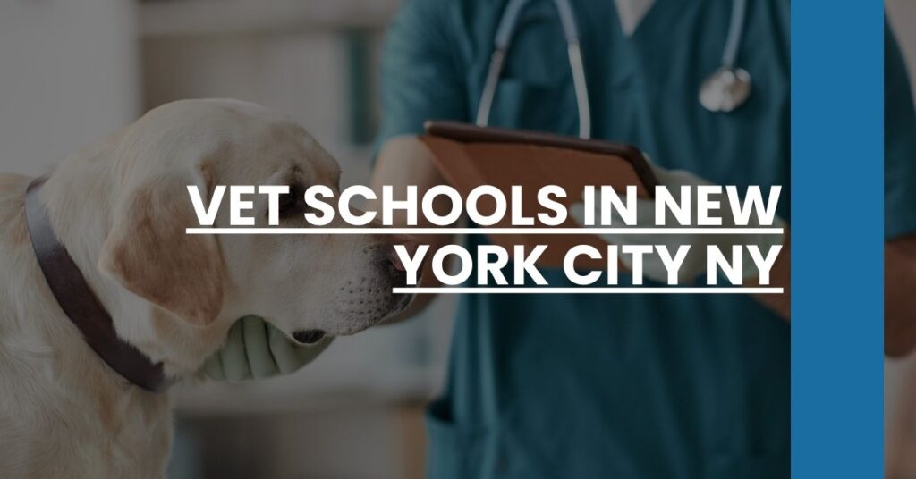 Vet Schools in New York City NY Feature Image