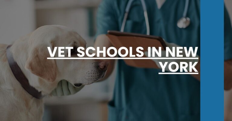 Vet Schools in New York Feature Image