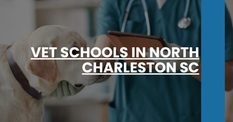 Vet SchoolVet Schools in North Charleston SC Feature Images in North Charleston SC Feature Image